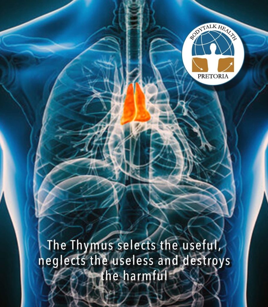 I AM THE THYMUS
