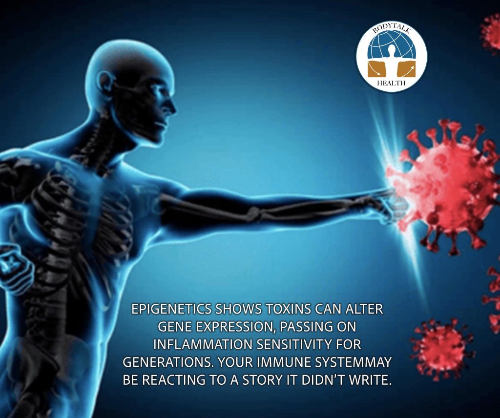 Are You Carrying Inflammation That Isn&rsquo;t Yours?