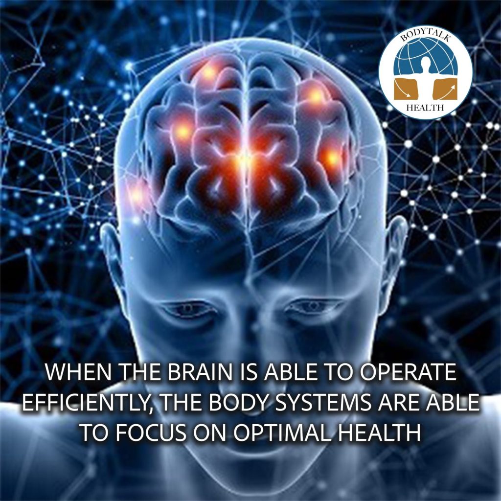 Balancing the Brain