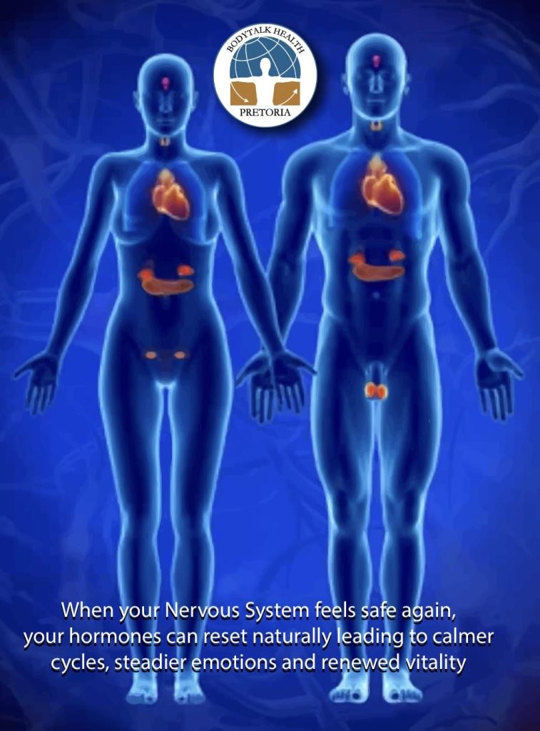 The Hidden Link Between Hormones, Stress & Emotions